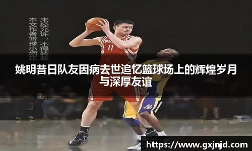 77体育官方网站